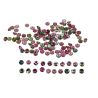 Turmalina Facetada Calibrada Multicores 20,30 ct